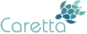 Caretta and Associates